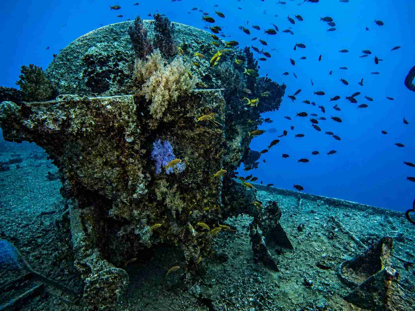 Railway water tank cargo on a sunken freighter