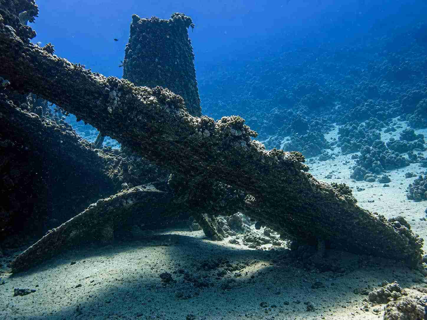 The stern and propeller of the Carnatic