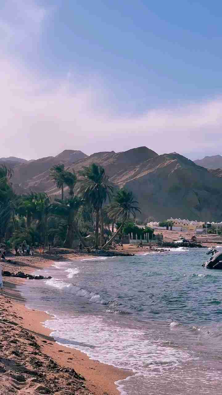 The bay, the palm grove and the mountains behind Dahab