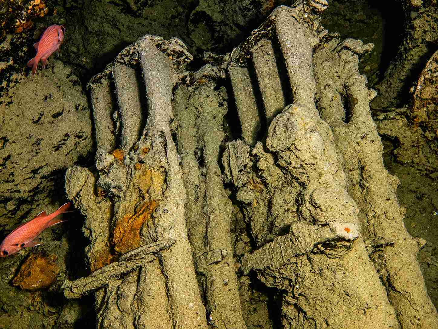 Lee Enfield rifles stacked inside the Thistlegorm wreck