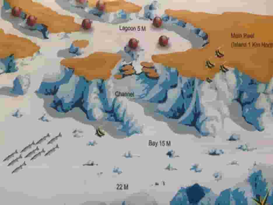 Hurghada local dive sites map: Abu Hashish and its lagoon