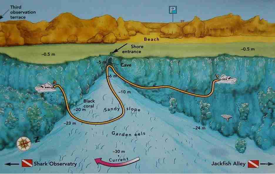 Eel Garden map showing the plateau and the eel colony