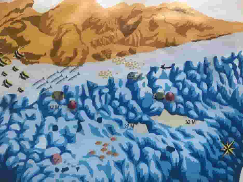 Hurghada local dive sites map: Hamada Reef and its stepped drop