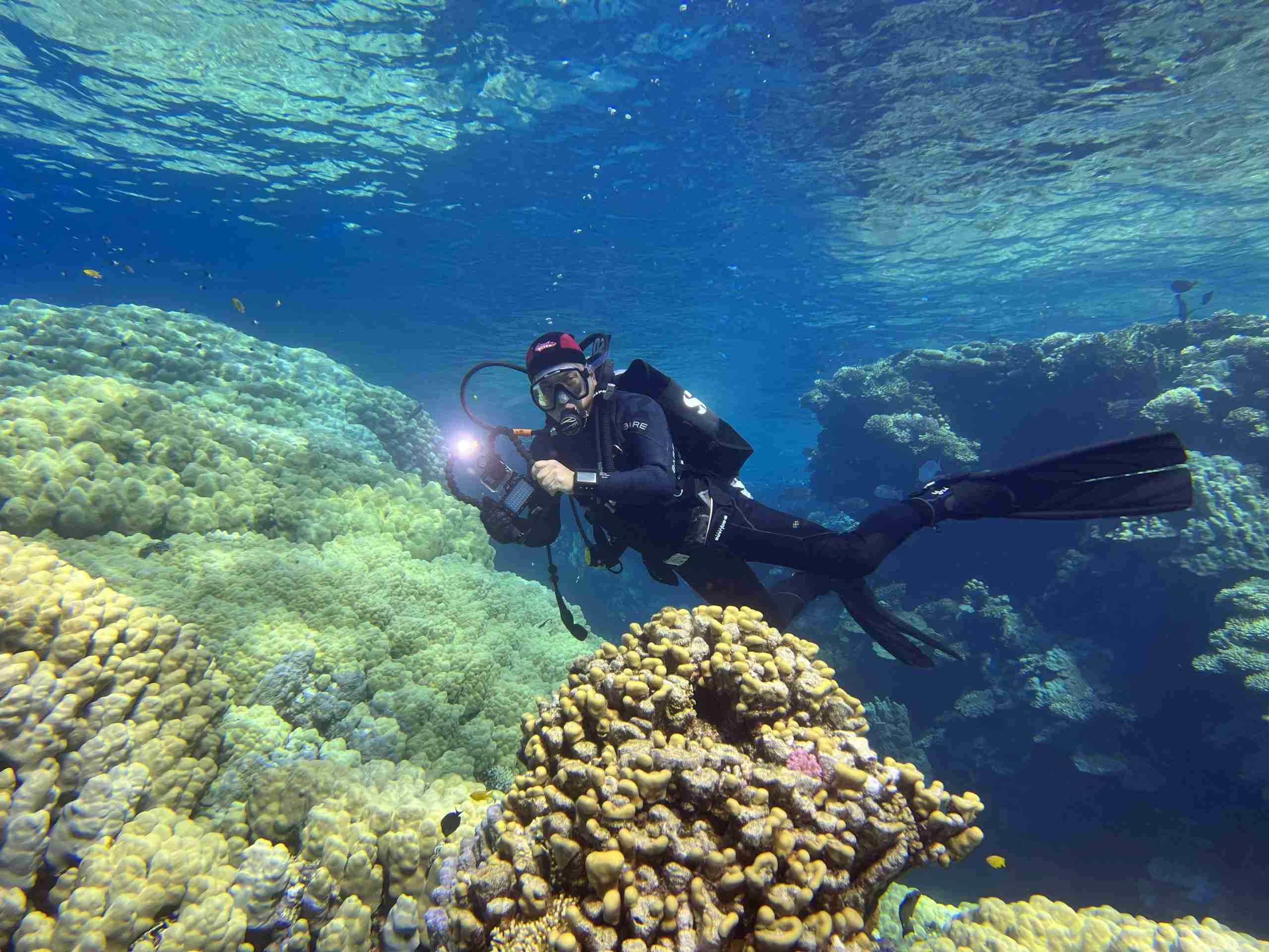 Diver over the coral on a Sharm el-Sheikh diving site