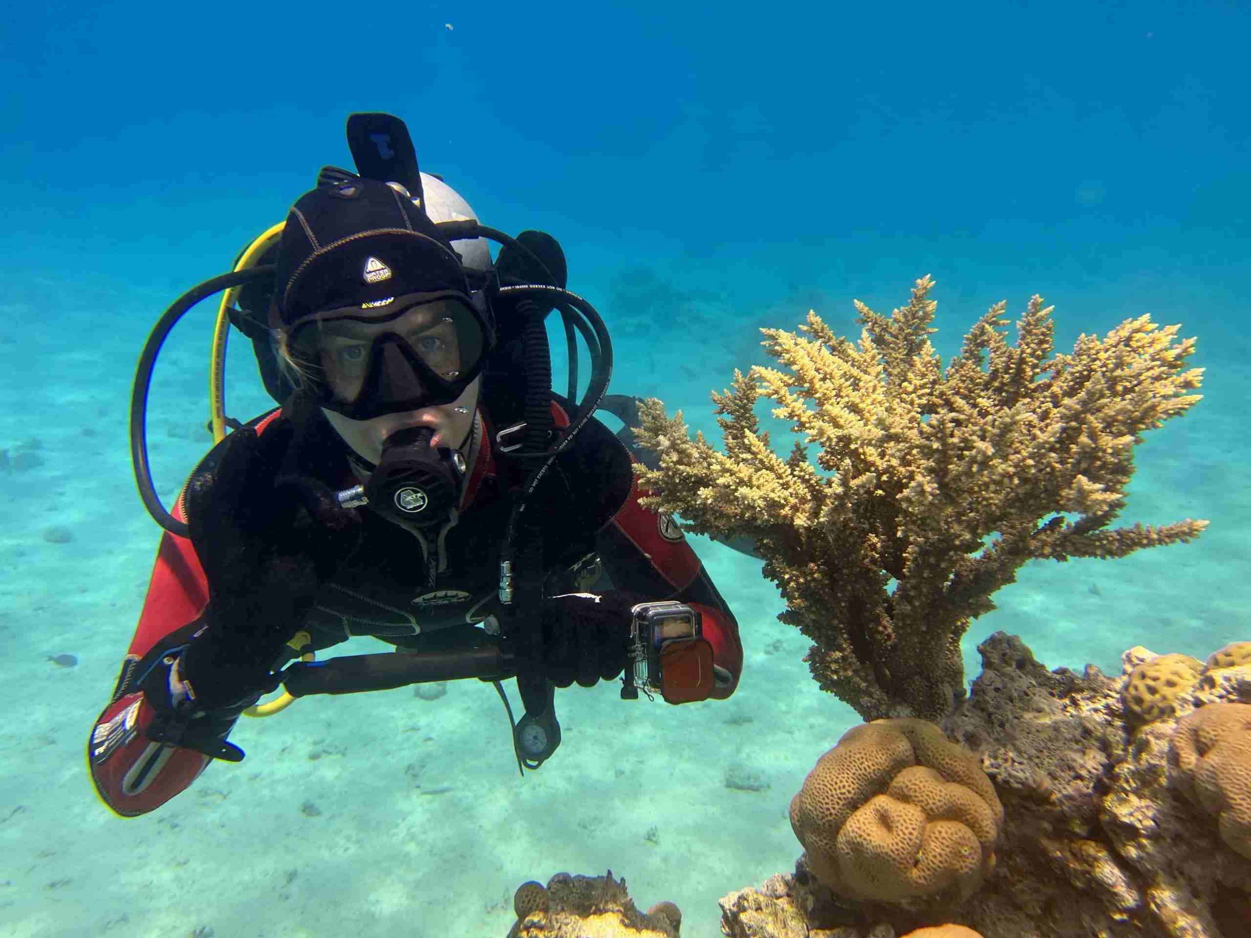 A diver over hard coral at Shaab El Erg on the North Red Sea liveaboard