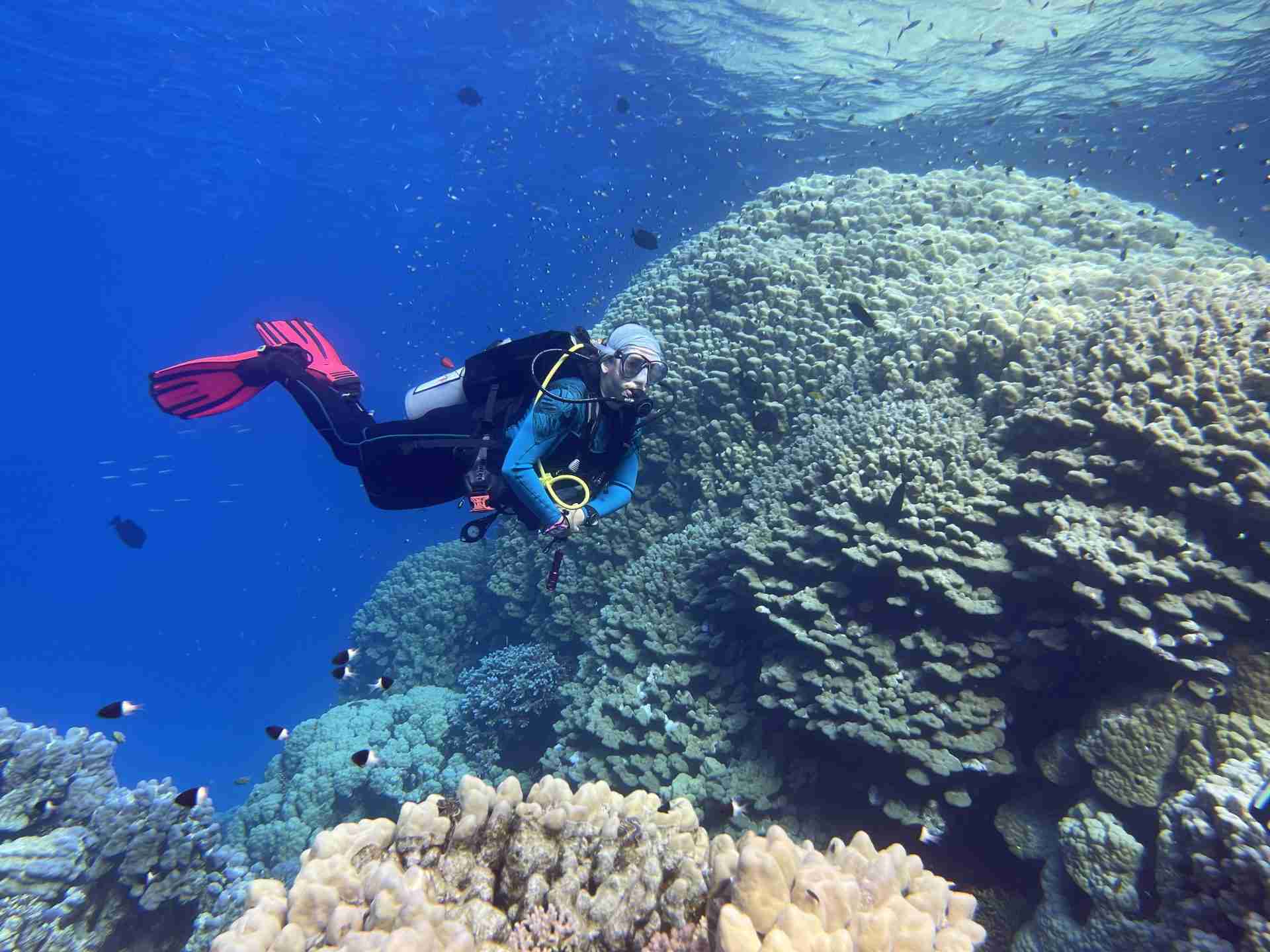Diver exploring the shallow reef