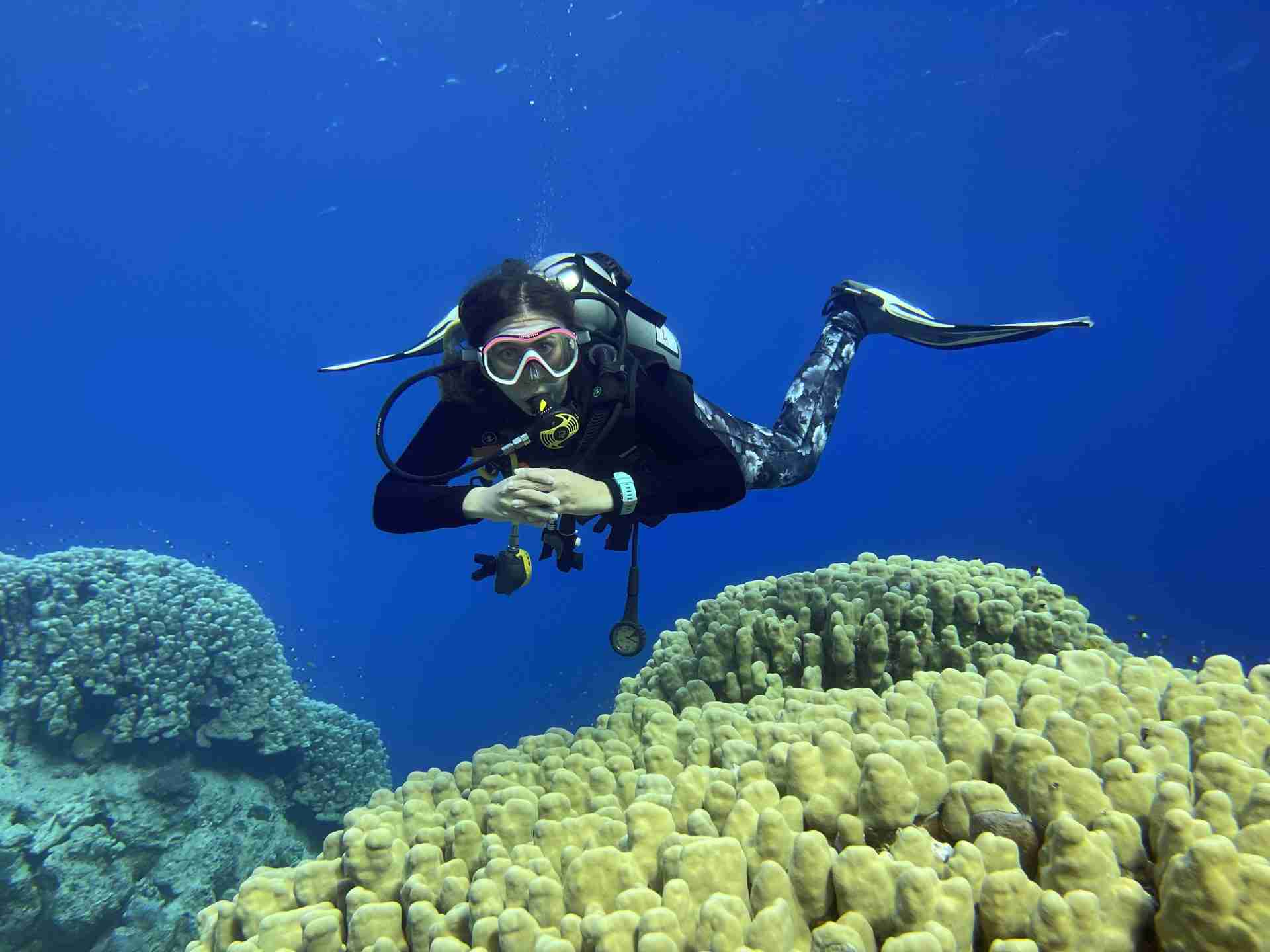 Diver over hard coral at Shaab El Erg