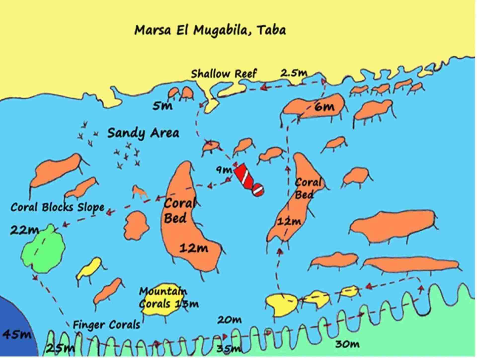Coral plateau at Marsa El Mugabila near Taba