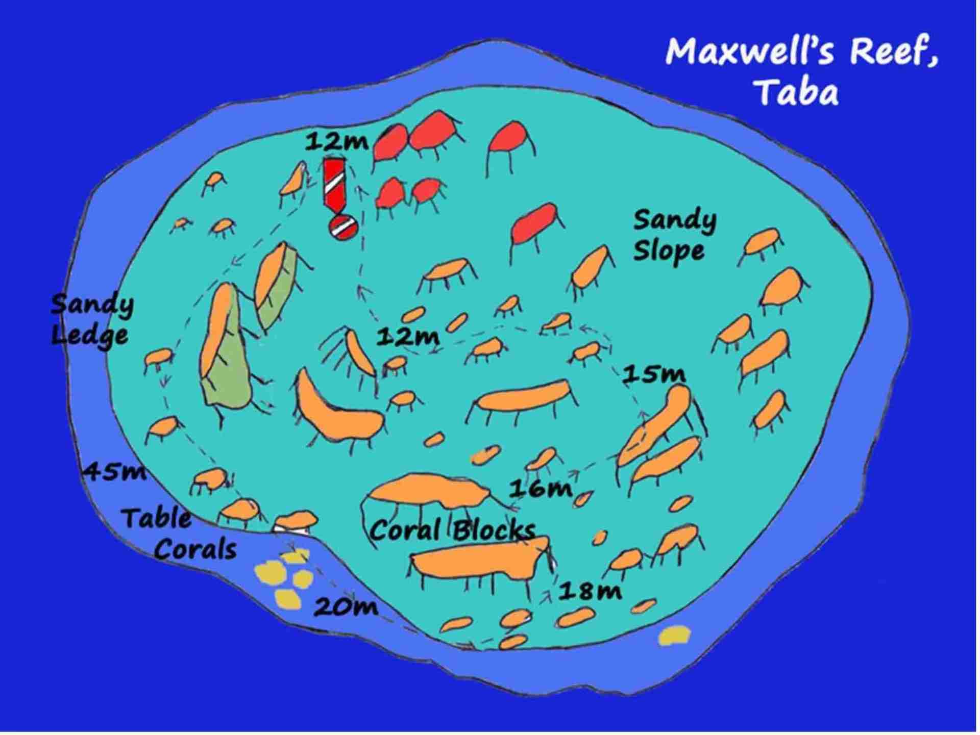 Deep reef at Maxwell in the northern Gulf of Aqaba
