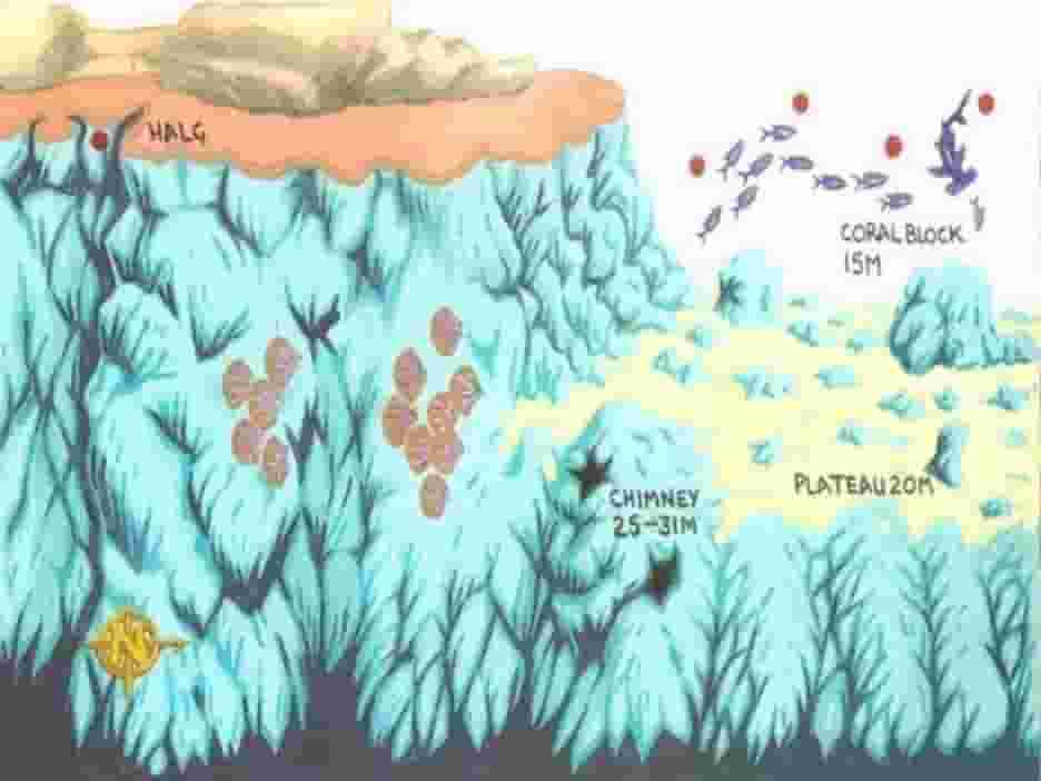 Hurghada local dive sites map: the North Abu Ramada plateau