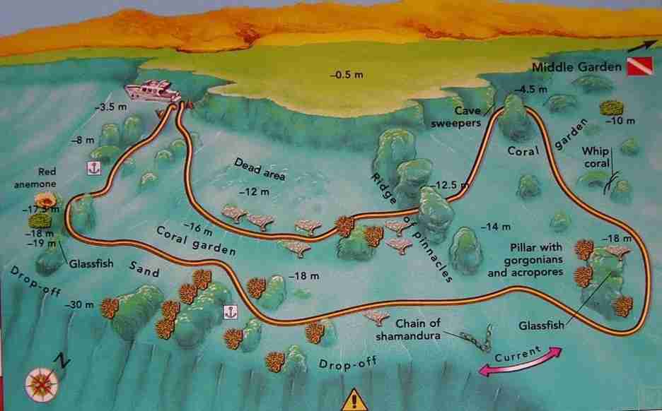 Near Garden dive site map, Naama Bay