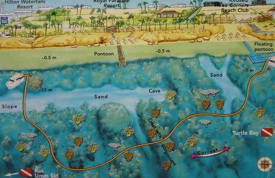 Paradise map showing the tall soft coral pinnacles