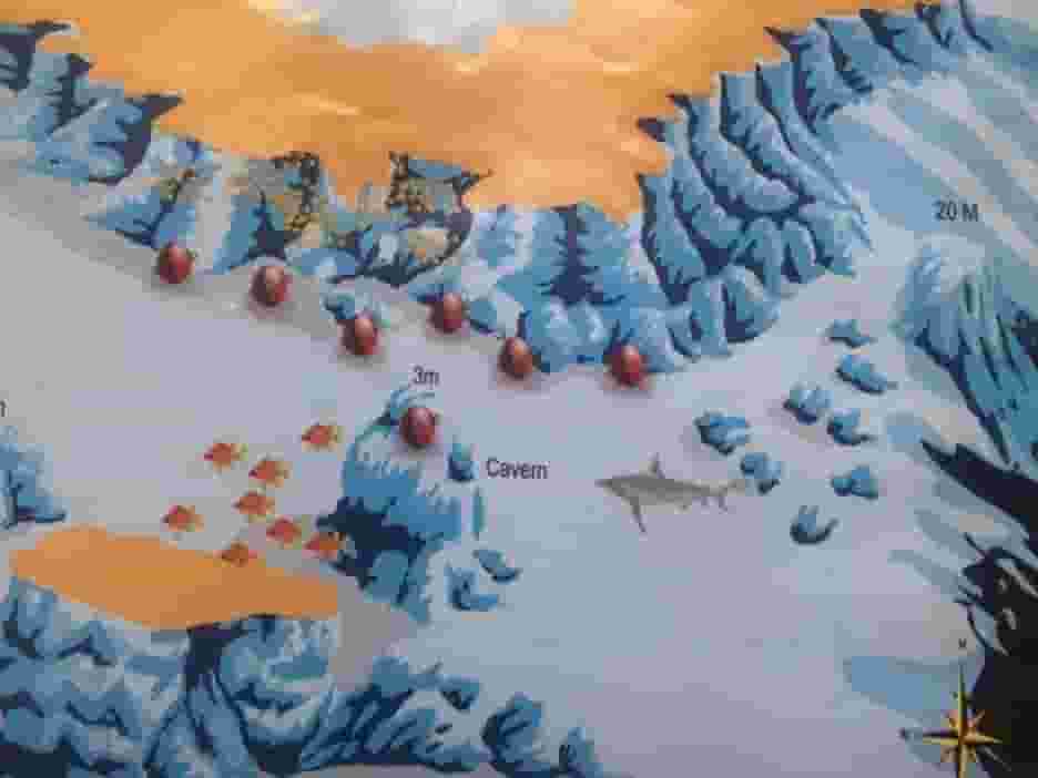 Ras Disha site map with the plateau and the pinnacles