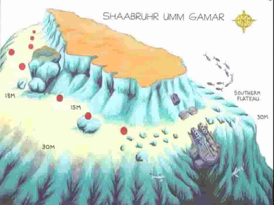 Shabruhr Umm Gamaar site map with the wreck positions