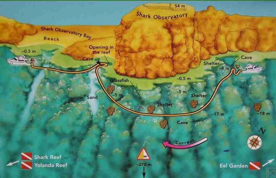 Ras Mohammed diving map: the wall below the Shark Observatory
