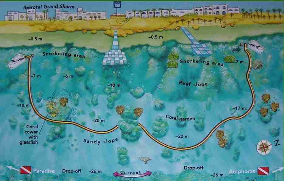 Turtle Bay map of the slope and the coral garden