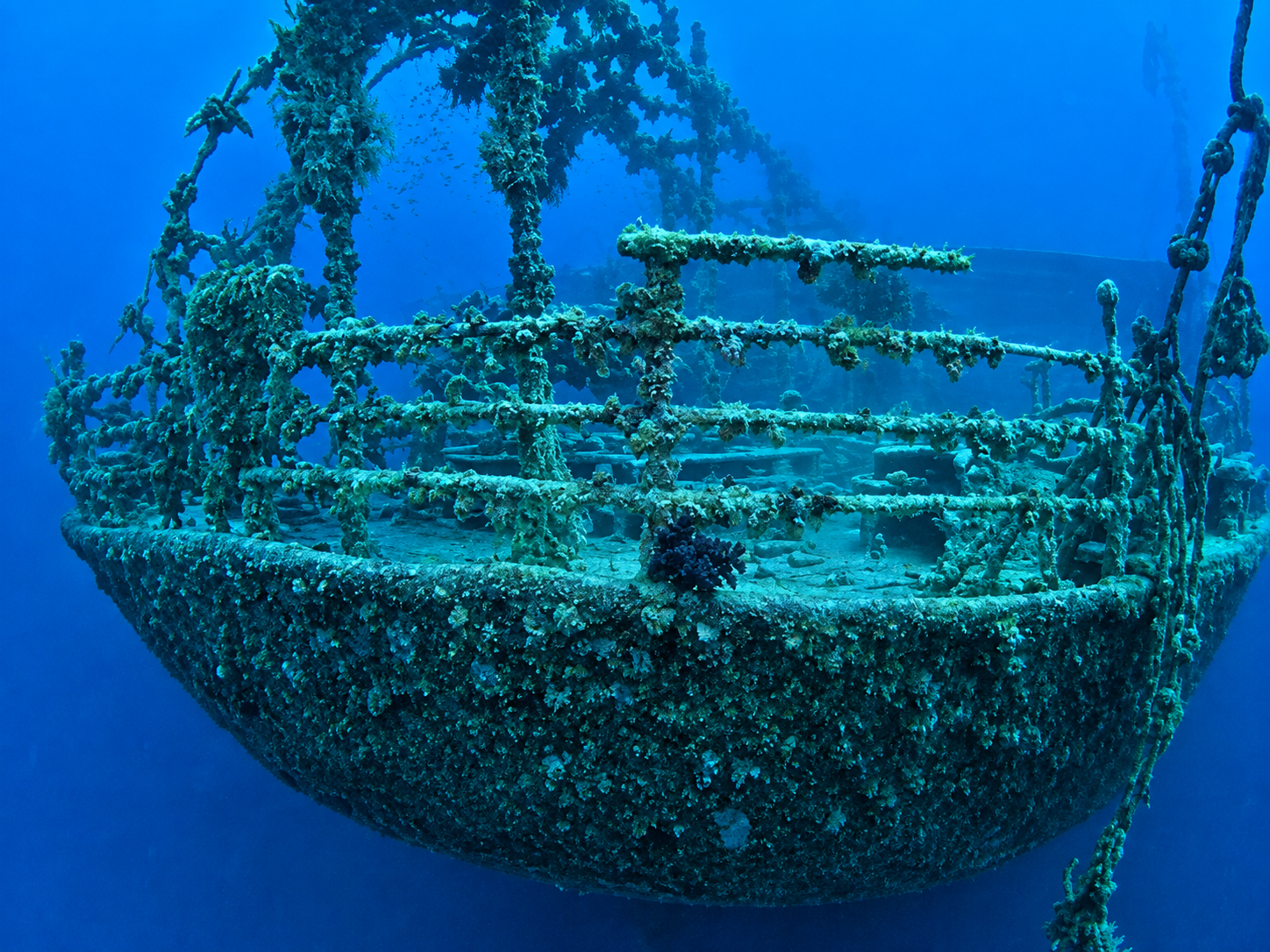The stern section of the Rosalie Moller on the seabed