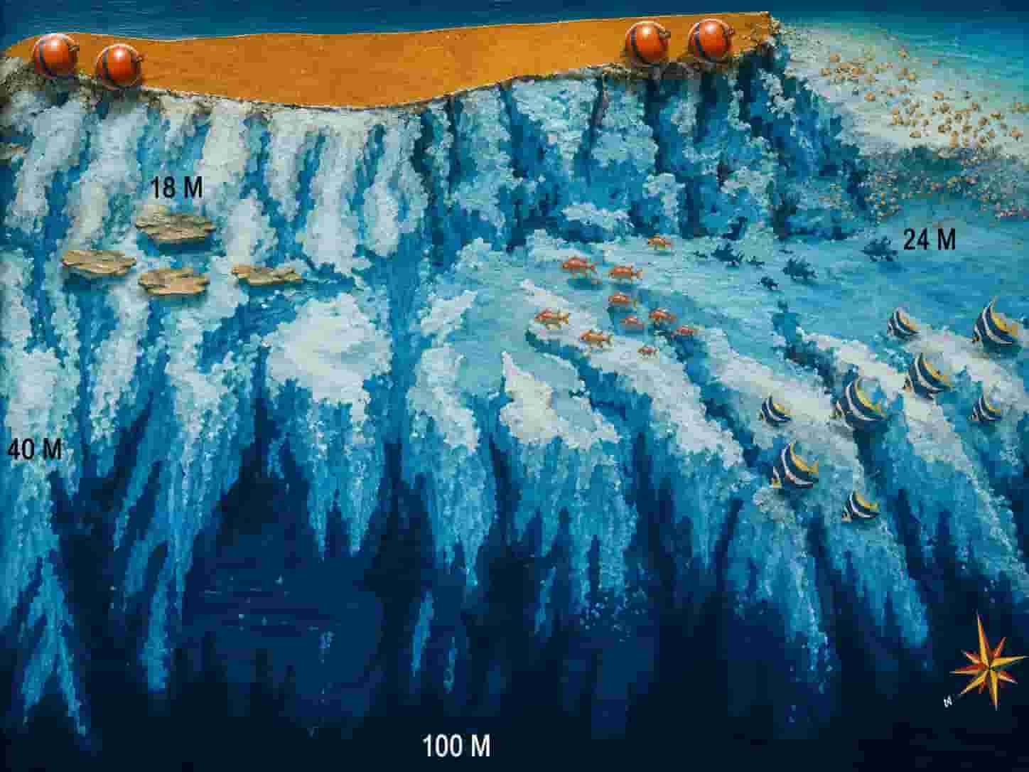 Elgelwa site map showing the pinnacles in the coral garden